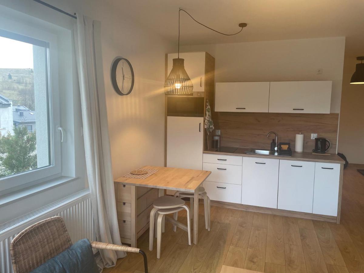 Apartament Kuba Na Spokojnej Wisła Εξωτερικό φωτογραφία